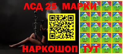 СК Можга