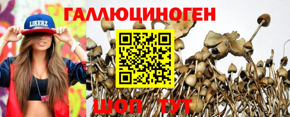 Солнечногорск  Галлюциногенные грибы Psilocybe  Вход с VPN 